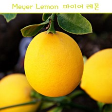 a0a9abe554a24a57bb6ca04cc5b95e0608c1ba5ecb1788f5455b52bd722d.jpg