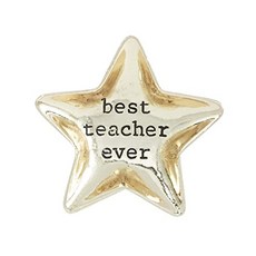 교사 미니 요리 (Gold Star), Gold Star