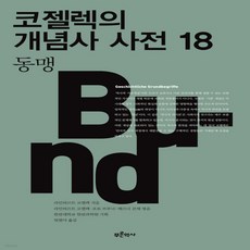 코젤렉의개념사사전