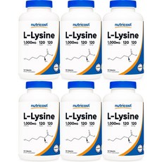 뉴트리코스트 엘 라이신 1000mg, 120정, 6개, 120정