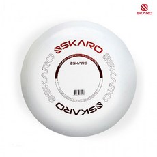 플라잉썬디스크