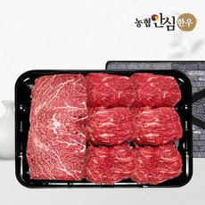 [KT알파쇼핑][농협안심한우] 1등급 한우 선물세트 채반 정육2호 1kg (국/불/불), 1개
