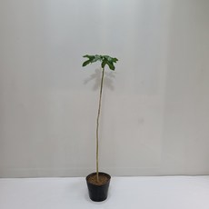 45af02c5d8fdf237f421c3204c54c8c63dce6930ab048ce23a0b8fb7f01b.jpg