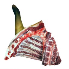 프리미엄 흑양육 뼈있는 앞다리살 1kg/전남 청정지역에서 자란 흑염소 고기 수육 탕 구이용 국내산 양고기 지육, 1개