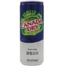 캐나다드라이 클럽소다 250ml, 10개