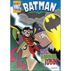 Five Riddles for Robin, Stone Arch Books