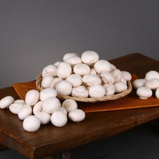 전대표 부여 정품 양송이버섯, 1개, 500g(상)