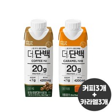 빙그레 더단백드링크 250ml 커피맛3+카라멜맛3(6개입)/단백질드링크/단백질보충/무, 1세트