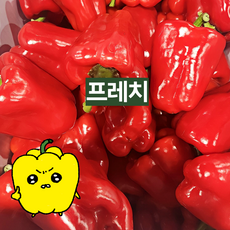 프레치 국내산 아삭하고 싱싱한 홍피망, 5kg (특), 1개