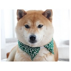 569d89413e4d7f2ca3755fb934bf70dbadd61070700cc2f902a7dd75c7a7.jpg