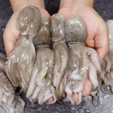 서천쭈꾸미 추천 1등 제품