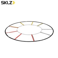 스킬즈퀵래더
