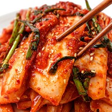 배추 겉절이 김치 매운 실비 겉절이 1kg 2kg 국산 국내산, 1개