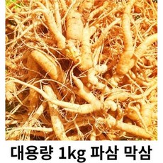 인삼 수삼 5년근 인삼 세척인삼 1kg 인삼뿌리 인삼파삼금산인삼 못난이인삼 세척수삼 인삼가정용, 세척(x) 파삼1kg, 1개