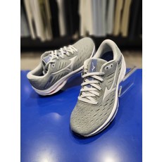 미즈노웨이브라이더