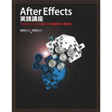 After Effects 실천 강좌 - 전문 기술이 몸에 붙는 영상 제작의 해설서, 단일옵션