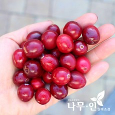 e75cc945f95fe55534e26f2dc30bffe05df6f70a2fb2c6cd1a0eff28e495.jpg