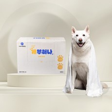 김원효가 만든 펫타월 개부러나 60매입 1박스, 1개