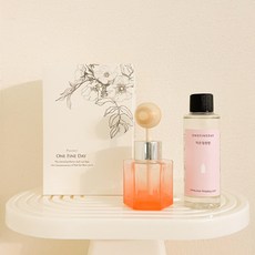 어느멋진날 디퓨저 작은정원향 [ 차량용세트 100ml (공병+스틱+리필오일100ml+선물박스) ]