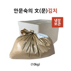 안문숙의 문김치 10kg