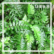 da20c8b037b04f22af1c8b198385ff1fa380a8fa65810e8a587935d779a8.jpg