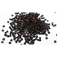 헛개나무씨앗20g(600립)