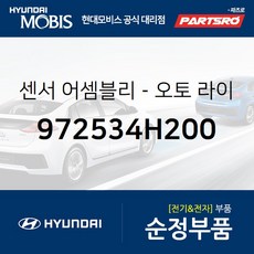 스타렉스오토라이트