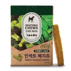 벅스펫