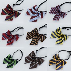 줄무늬나비넥타이