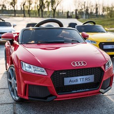 아우디푸쉬카캐노피