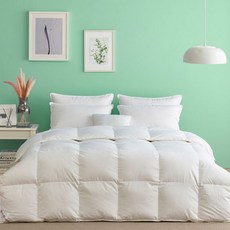 시베리아구스이불