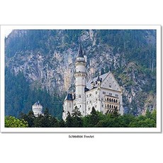 Neuschwanstein Castle in Germany Paper Print Wall Art (12in. x 18in. (Paper 12.0x18.0" Fa7864504), Paper 12.0x18.0", Fa7864504