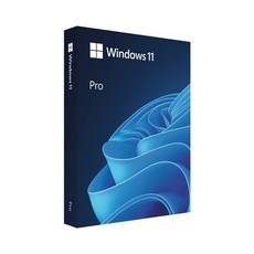 마이크로소프트 윈도우 Windows 11 Pro 처음사용자용 패키지 FPP 한글 설치USB