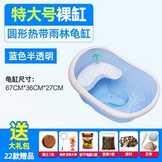 업소용수족관대게