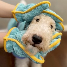 강아지 펫타올 댕댕이 뽀송 샤워가운, 펫타올+장갑 (보라), 1개