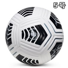 프리미어리그매치볼