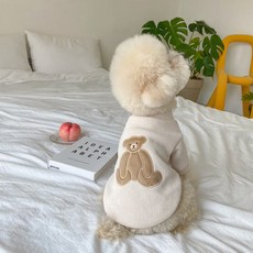 Neirny 강아지 곰돌이 니트 티셔츠 데일리 애견옷 포메옷 푸들옷 고양이옷 MY-06X, 베이지, 1개