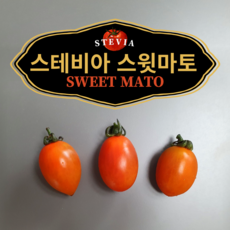 스테비아스윗토