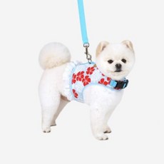 헨로포우젠틀하네스