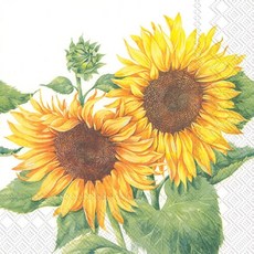 3e5612bafebd5fdfe949fbd93c6c99e97b08b09a503134e37f8483ee662a.jpg