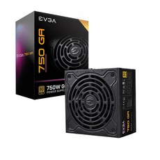 evga750gq