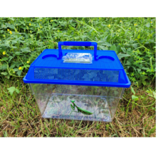 왕사마귀 키우기 채집통 (색상램덤), 하나로채집통(빨강파랑중색상랜덤), 1개