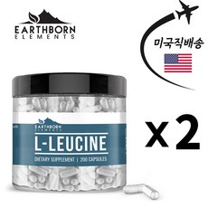 류신타블렛 1400mg 400캡슐 4개월분 어쓰본 L-류신 단백질보충제 순수 무첨가, 200정, 2개