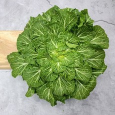 땅끝 해남 제철 봄동 배추 3kg, 단품:단품