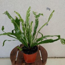 bb77e310c3893b38882bd7fcd7683729a56481b109da2c8152f66b4b3b87.jpg