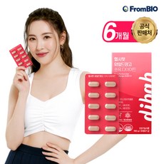 다이어트앤와일드망고