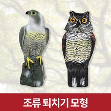 큰소리새쫓기폭죽
