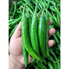 (과일천국1번지) 직접 농사지은 픗고추3kg, 3kg, 1개, 3kg