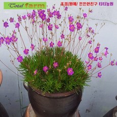 7ffed0de391be79bf3e7815fb50df24d3b630d4911c4b8a139754589a3a0.jpg