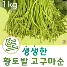 af2e5c39eedf6111104d9e0c43d84a6f21fb048a650022aeddf67c253bd2.png